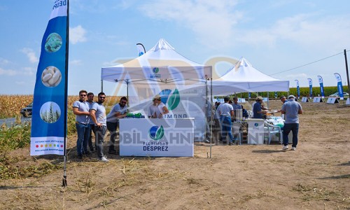 Roadshow Etkinliği Roadshow Etkinliği